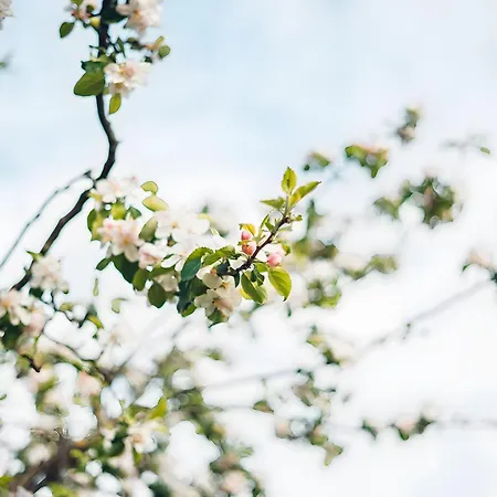 Gaestehaus Fischerhaeusle 3*