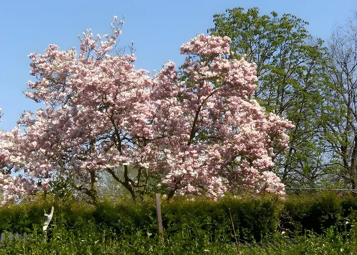 Pensjonat Gaestehaus Fischerhaeusle 3*
